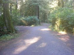 Driving Loop D Mora Campground Olympic National Park
