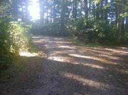 Driving Loop D Mora Campground Olympic National Park