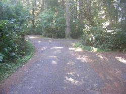 Driving Loop D Mora Campground Olympic National Park