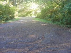 Driving Loop D Mora Campground Olympic National Park