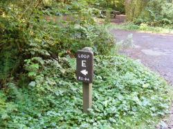 Driving Loop E Mora Campground Olympic