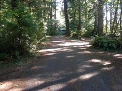 Driving Loop E Mora Campground Olympic