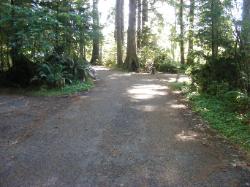 Driving Loop E Mora Campground Olympic