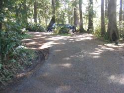 Driving Loop E Mora Campground Olympic