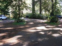 Driving Loop E Mora Campground Olympic