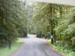 Sol Duc Loop B Road