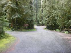 Sol Duc Loop B Road