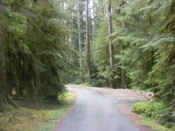 Sol Duc Loop B Road