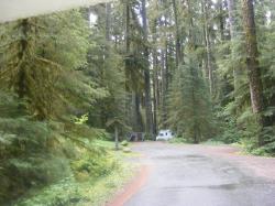 Sol Duc Loop B Road