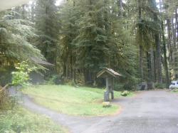 Sol Duc Loop B Road