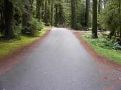 Sol Duc Loop B Road
