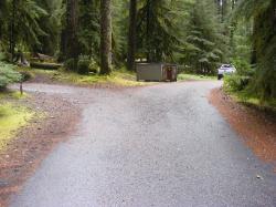 Sol Duc Loop B Road