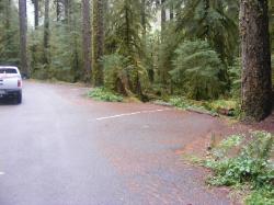 Sol Duc Loop B Road