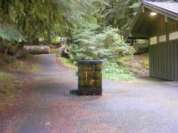Sol Duc Loop B Road