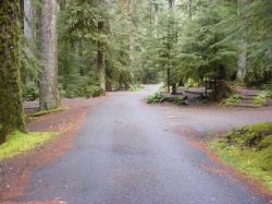 Sol Duc Loop B Road