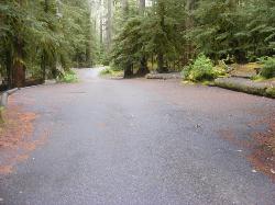 Sol Duc Loop B Road