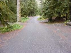 Sol Duc Loop B Road