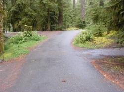 Sol Duc Loop B Road
