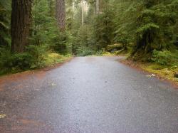 Sol Duc Loop B Road