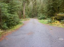 Sol Duc Loop B Road