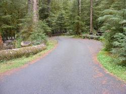 Sol Duc Loop B Road