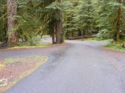 Sol Duc Loop B Road