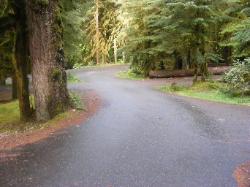 Sol Duc Loop B Road