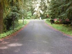 Sol Duc Loop B Road