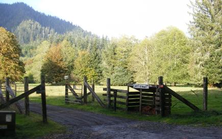 Hoh Rain Forest Area