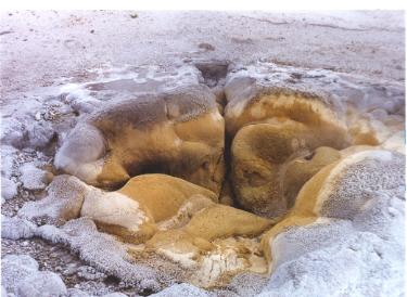 Geyser Basin Fumarole