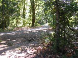 Goodell Campground Road - North Cascades NP