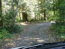 Goodell Campground Road - North Cascades NP