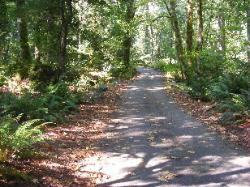 Goodell Campground Road - North Cascades NP