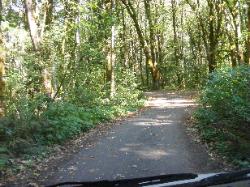 Goodell Campground Road - North Cascades NP