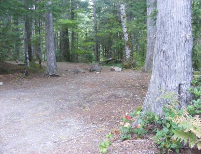 North Cascades - Newhalem Campground - Group Campsite A 
