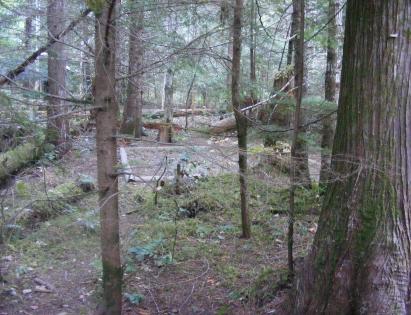 North Cascades - Newhalem Campground - Group Campsite B