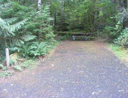 Individual Picnic Sites