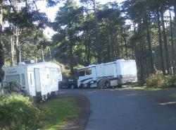 Kalaloch Site D39