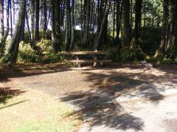 Kalaloch Site E11