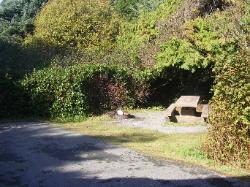 Kalaloch Site F8
