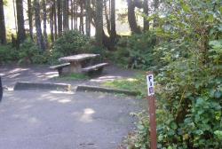 Kalaloch Site F9