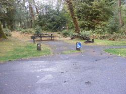 Loop A Site 01 Hoh Campground Olympic National Park
