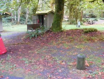 Loop B Firewood Kiosk Hoh Campground Olympic National Park