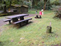 Loop B Site 40 Hoh Campground Olympic National Park