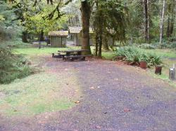 Loop B Site 42 Hoh Campground Olympic National Park