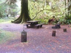 Loop B Site 53 Hoh Campground Olympic National Park