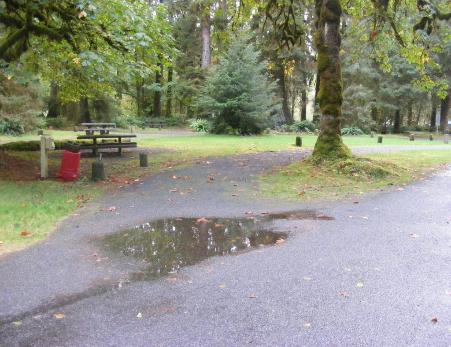 Loop B Site 54 Host  Hoh Campground Olympic National Park