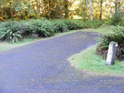Loop C Site 61 Hoh Campground Olympic National Park