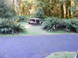 Loop C Site 61 Hoh Campground Olympic National Park