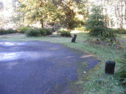Loop C Site 62 Hoh Campground Olympic National Park